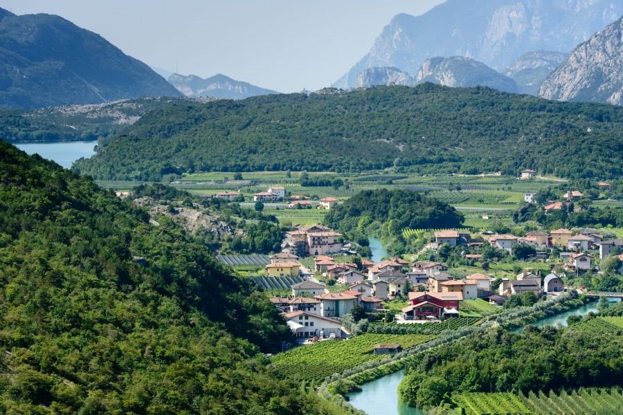 Buy wine from Trentino